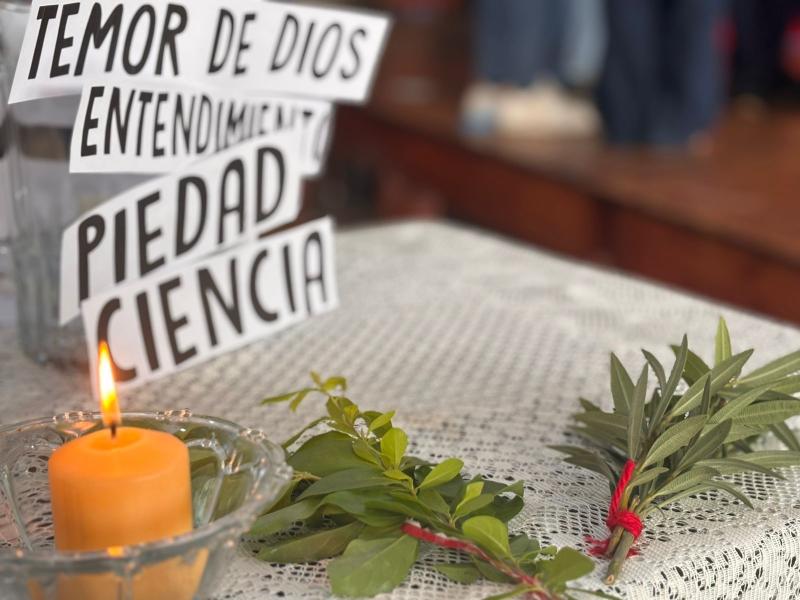Imagen Galería