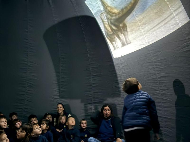 Imagen Galería